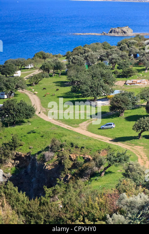 Campingplatz am Akamas Nationalpark, Paphos, Zypern Stockfoto