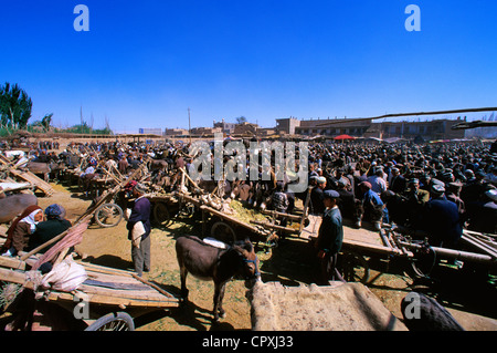 China, Provinz Xinjiang, Kashgar (Kashi), alte Stadt-Basar, Ouigour Bevölkerung, Sonntagsmarkt, Viehmarkt Stockfoto