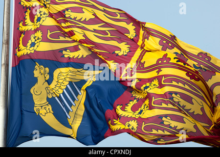 Produktbild von Ku00f6nigsflagge | Einzigartiger Designdruck | Made In EU (90 X 150 Cm