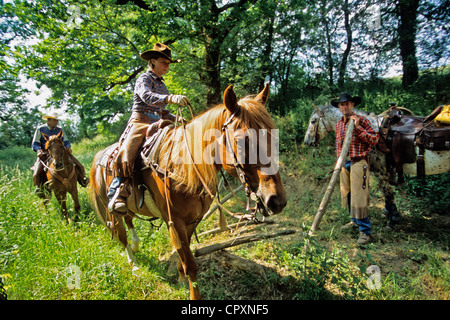 Frankreich, Aveyron, Onet le Chateau, Praxis, Reiten, arbeiten die Reiter mit den Rindern Stockfoto