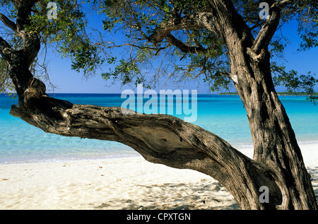 Kuba, Provinz Holguin, Guardalavaca, Strand Stockfoto