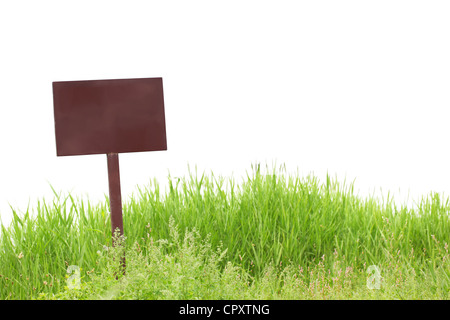 Leere Plakat auf dem grünen Rasen, isoliert auf weiss. Stockfoto