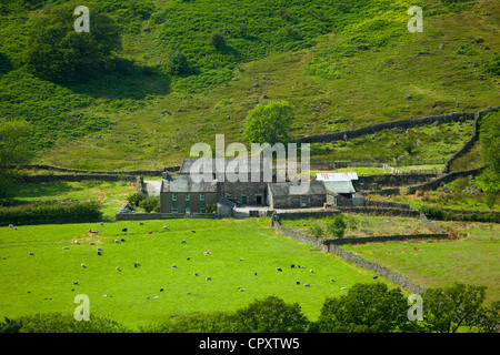 Hill Farm Kleinbetrieb in Hard Knott Pass in der Nähe von Eskdale in Lake District National Park, Cumbria, England Stockfoto