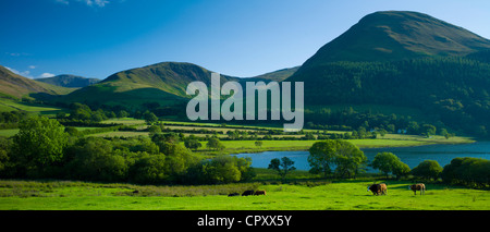 Wastwater in Lake District National Park, Cumbria, England Stockfoto