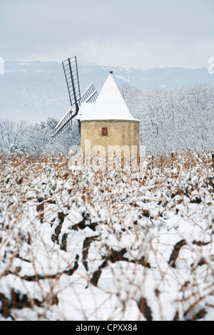 Frankreich, Vaucluse, Lubéron, in der Nähe von Ansouis, Sannes, AOC Côtes du Luberon, Mühle im Weinberg unter dem Schnee Stockfoto