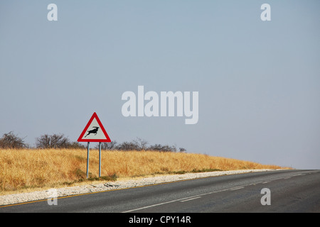 Warnung vor Straßenschild - Antilope in Namibia unterwegs Stockfoto