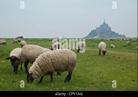 Gezeiten Sie Mont Saint Michel, flach, Manche (50), Ille-et-Vilaine (35), Bretagne/Normandie, Frankreich Stockfoto