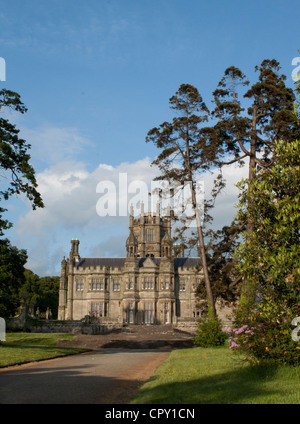 Bäume Margam Parkgrundstück und Haus Stockfoto