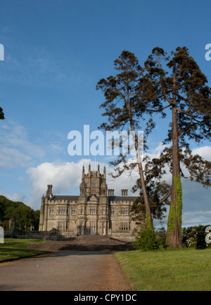 Bäume Margam Parkgrundstück und Haus Stockfoto