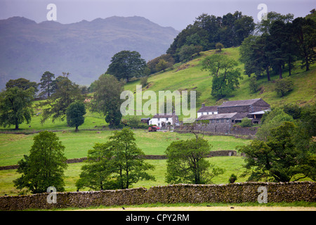 Ansicht des Lakelandpoeten von Easedale in der Nähe von Grasmere in Lake District National Park, Cumbria, England Stockfoto