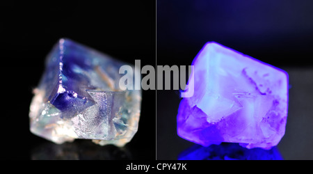 Flourite (Kalzium Fluorid) Kristall unter Tageslicht (links) und Ultraviolett (rechts)
