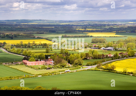 Dollar - Chiltern Hills - Blick über Aston Rowant - grünen Weizen + gelbe Rapsfelder - Wald - Wirtschaftsgebäude - Sonne + Schatten Stockfoto