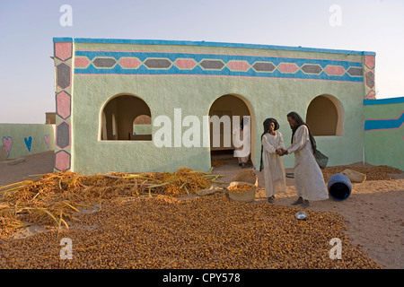 Sudan, Nubische Wüste, hohe Nubia, Ash-Shamaliya Provinz, Soleib, präsentiert es Flachreliefs aus dem Kurs der Sed Stockfoto