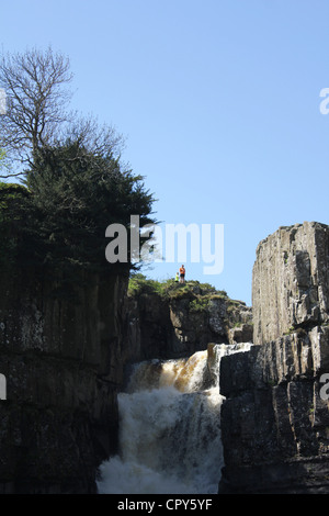 Teesdale Szenen, North East England. 26. Mai 2012 - High Force Wasserfall - eines der spektakulärsten Wasserfälle in England Stockfoto