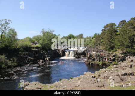 Teesdale Szenen, North East England. 26. Mai 2012 - Low Force Wasserfälle - ca. 1,1/4 Mls flussabwärts der hohen Kraft Wasserfälle Stockfoto