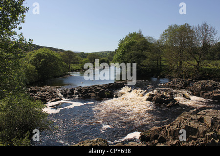 Teesdale Szenen, North East England. 26. Mai 2012 - Blick auf den Fluss zwischen den spektakulären Wasserfällen von hoher Kraft und Low Force Stockfoto