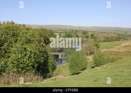 Teesdale Szenen, North East England. 26. Mai 2012 - Blick auf den Fluss - downstream - in der Nähe der spektakulären hohen Kraft suchen. Stockfoto