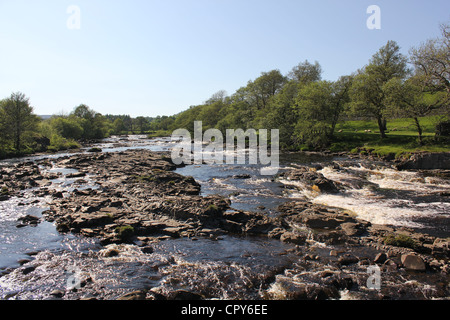 Teesdale Szene, North East England. 26. Mai 2012 - Blick auf den Fluss - Blick stromaufwärts - in der Nähe der hohen Kraft Wasserfall. Stockfoto