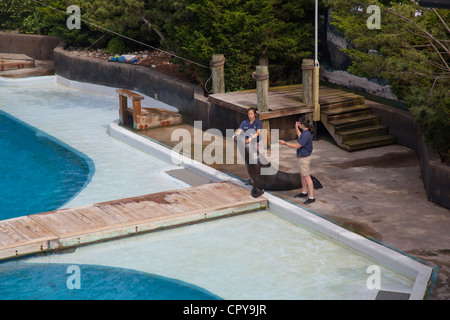 New York Aquarium in Brooklyn New York Stockfoto