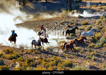 Runden Sie auf Zeit Cowboy und Pferd Stockfoto