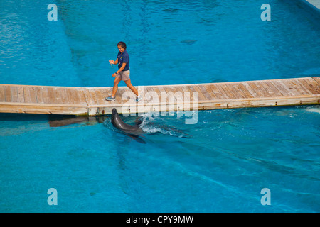 New York Aquarium in Brooklyn New York Stockfoto