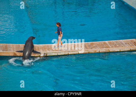 New York Aquarium in Brooklyn New York Stockfoto