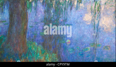 Detail der Seerosen von Claude Monet, Musee de l ' Orangerie-Museum, Paris, Frankreich, Europa Stockfoto