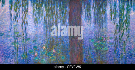 Detail der Seerosen von Claude Monet, Musee de l ' Orangerie-Museum, Paris, Frankreich, Europa Stockfoto