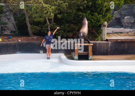 New York Aquarium in Brooklyn New York Stockfoto