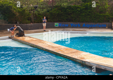 New York Aquarium in Brooklyn New York Stockfoto