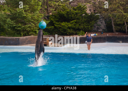 New York Aquarium in Brooklyn New York Stockfoto