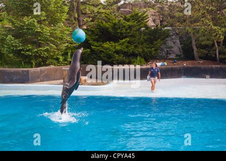 New York Aquarium in Brooklyn New York Stockfoto