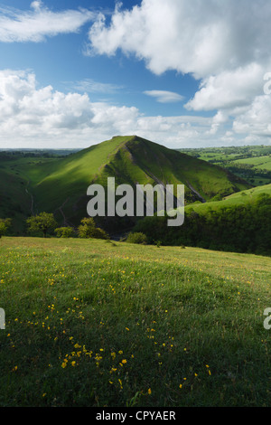 Blick Richtung Thorpe Cloud in Dovedale. Peak District National Park. Derbyshire. England. VEREINIGTES KÖNIGREICH. Stockfoto