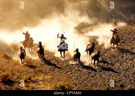 Runden Sie auf Zeit Cowboy und Pferd Stockfoto