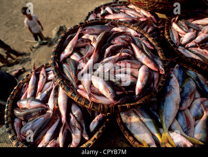 Vietnam, der Provinz Thua Thien Hue, Hue, Fischmarkt Stockfoto