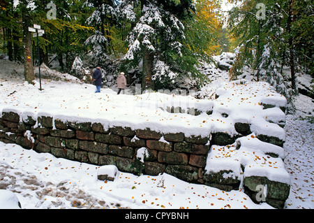 Pagan Wand unter dem Schnee, Mont Saint-Odile, Bas Rhin, Frankreich Stockfoto