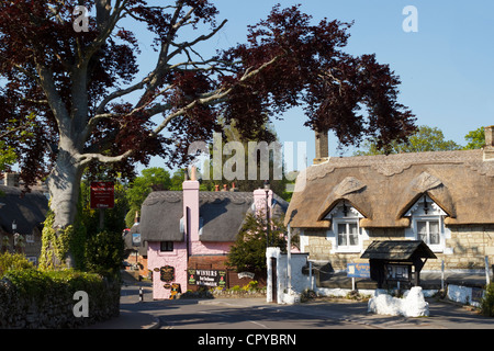 Strohgedeckten Hütten in Shanklin Isle Of Wight England UK Stockfoto