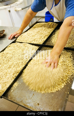 Vaucluse, Frankreich-Saint-Didier, making-of der Nougat, Nougat Entscheidungsträger Freres Silvain (The Silvain Brüder) Stockfoto