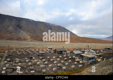 Norwegen, Svalbard (Spitzbergen), Longyearbyen, Schlittenhunde, Zucht Stockfoto