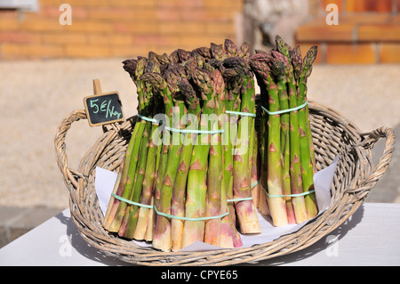 Bündel von Französisch Spargel zum Verkauf in Bram Markt Bram, Aude, Languedoc-Roussillon, Südfrankreich Stockfoto