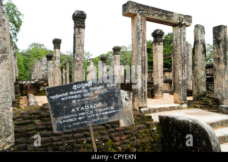 Ruinen des Atadage-Tempels in Dalada Maluva Viereck, Polonnaruwa, Sri Lanka Stockfoto