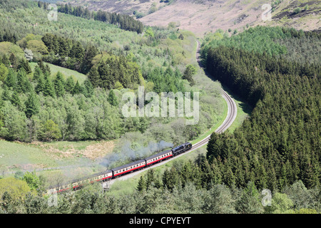 Ein Dampfzug auf der NYMR Einfädeln durch Newtondale vergletscherten Tal entnommen Skelton Tower, North Yorkshire Moors, England Stockfoto