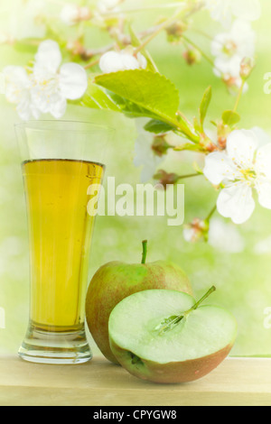 Apfelsaft aus frischen Äpfeln im Frühlingsgarten Stockfoto