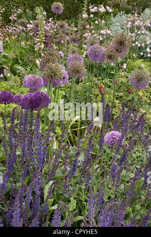 Englischen Cottage Garten Sommer Blume boarder Stockfoto