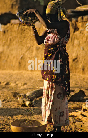 Mali, Dogonland, traditionelle clearing von der Hirse am unteren Bandiagara-Klippen, die von der UNESCO als Welterbe gelistet Stockfoto