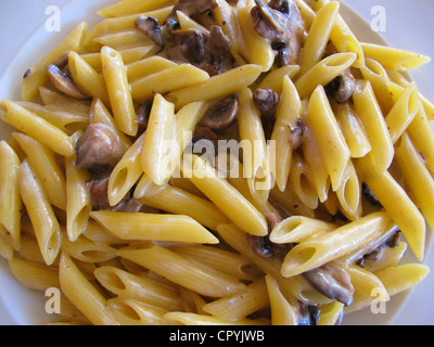 Penne Nudeln zylindrisch geformten Stücke mit Pilz Stockfoto