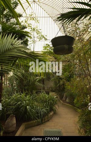 Sheffield Botanical Garden enthält Sammlungen von Pflanzen aus der ganzen Welt, South Yorkshire, England Stockfoto