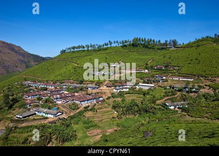 Indien, Bundesstaat Kerala, Munnar, ein Dorf zwischen den Teeplantagen Stockfoto