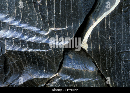Obsidian, vulkanisches Glas, Landmannalaugar Region, Fjallabak, Island, Europa Stockfoto