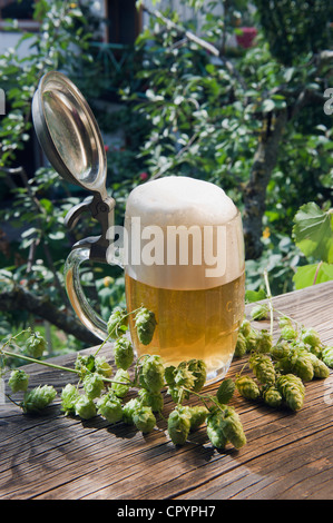 Eine 1-Liter Bierkrug oder Stein, Hallertau, Bayern, Deutschland, Europa Stockfoto